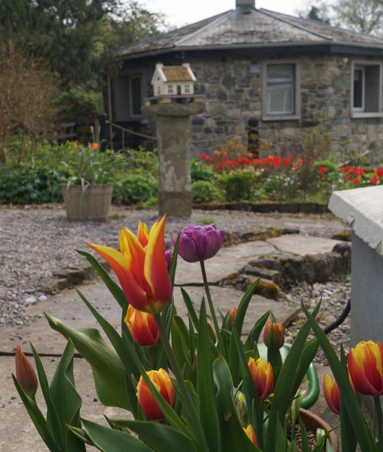 The Old Rectory Donard Apartment *